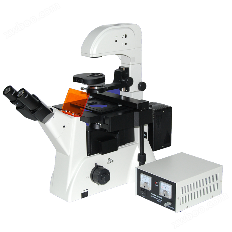 LWD300-38LFT (LED) infinite inverted fluorescence microscope