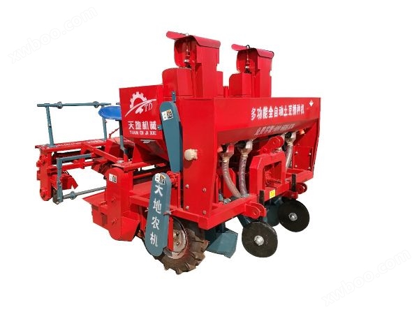 2cm-2a نوع البطاطس بزار
