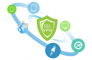 Profondamente convinto del firewall VPN-1000-B400 2-in-1 VPN