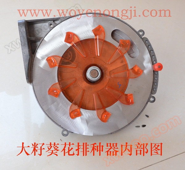 大籽葵花排种器