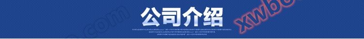 公司介绍