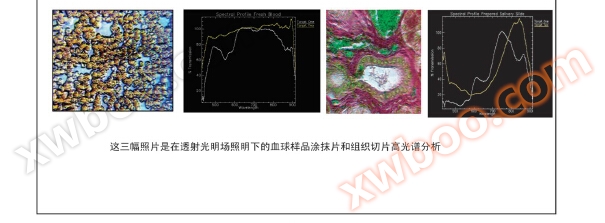 高光谱产品资料