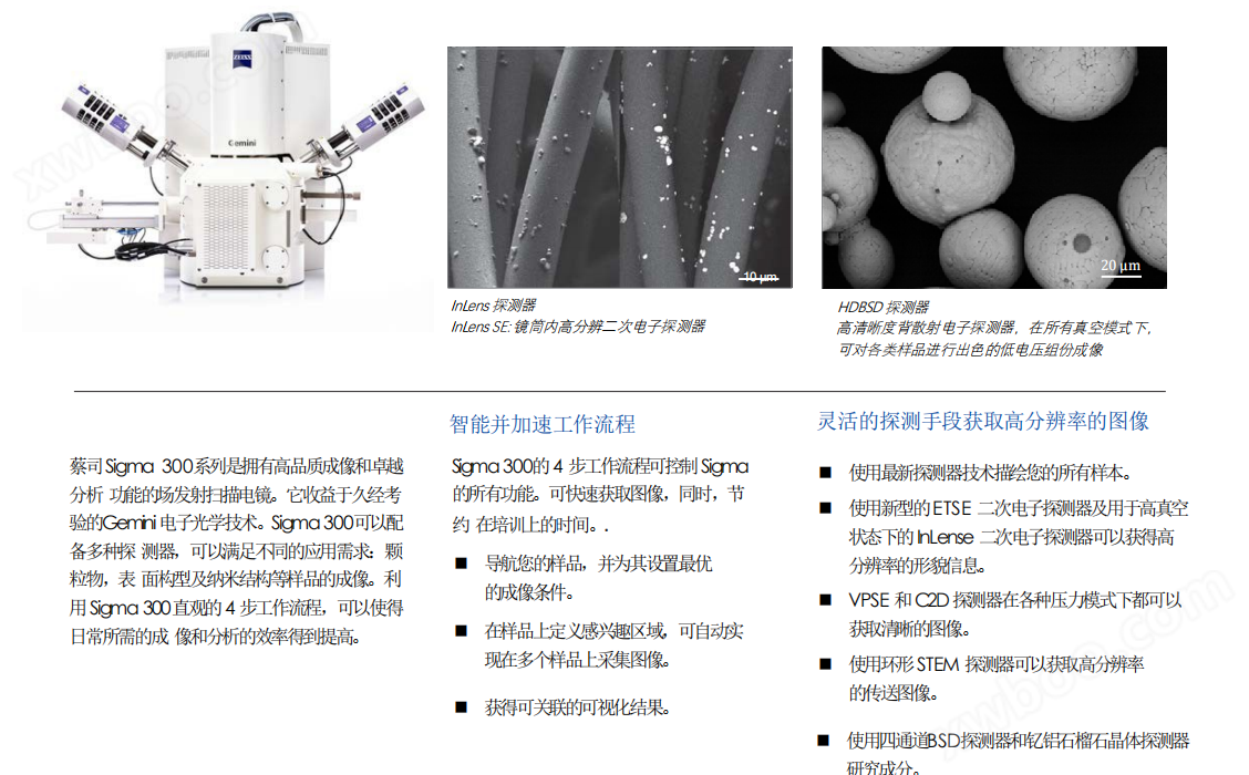 蔡司 Sigma 300 系列扫描电子显微镜