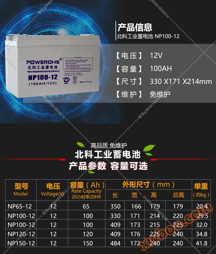 免维护铅酸蓄电池 12V100AH(图1)