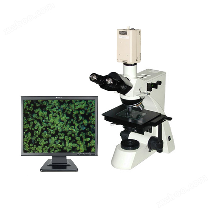 透反射三目金相显微镜