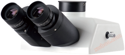 研究级正置生物显微镜 RX50