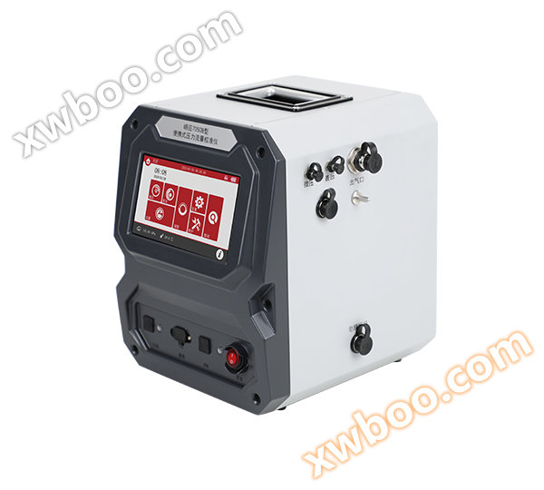 Portable pressure and flow calibrator