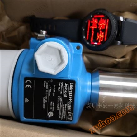 FMI51-A1AGDJB2A1A / E + H