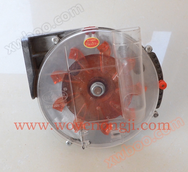 دانه بزرگ آفتابگرد