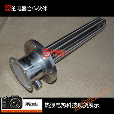 Flange electric heater for liquids