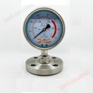 Diaphragm/Diaphragm Seismic Pressure Gauge