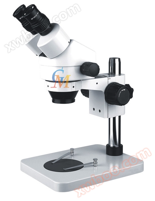 Анатомічний мікроскоп