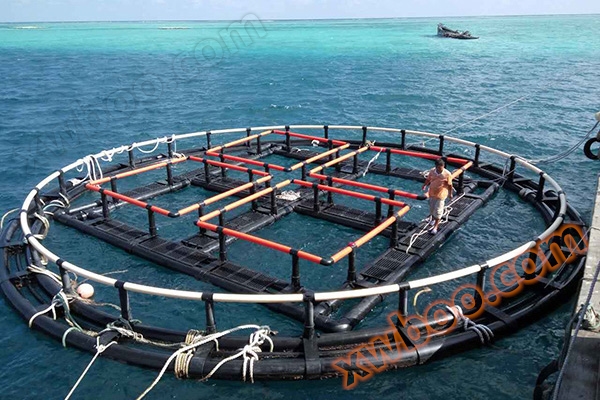 Circular deepwater net cage