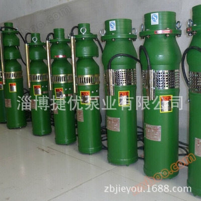 Bomba sumergible húmeda cargada de agua de la serie QS