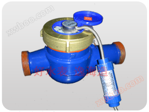 Counting direct reading remote water meter