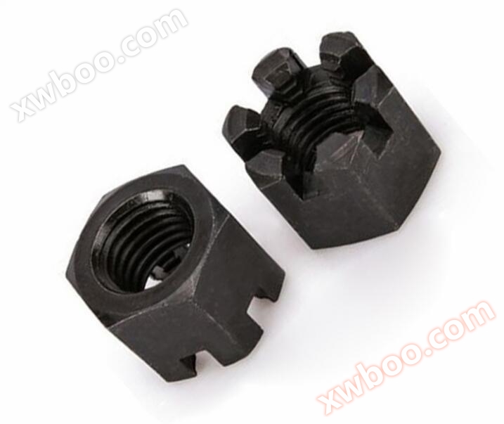 Slotted Hex Nut 