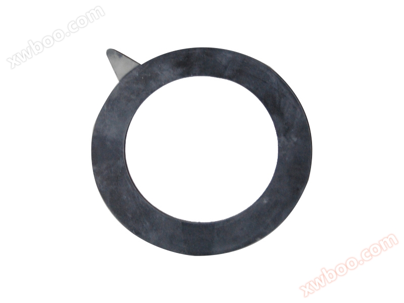 Flange gasket (sanitary grade)