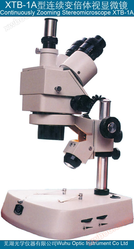 Microscope à vision corporelle xtb