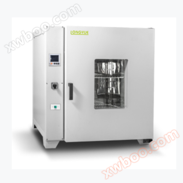 LDO-101-0 electric constant temperature blast drying oven