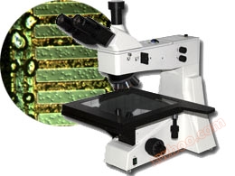 Perkhidmatan : XJL-302 DIC