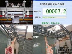 Scala elettronica del macello