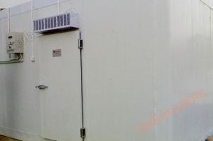 ห้องเย็นองุ่น