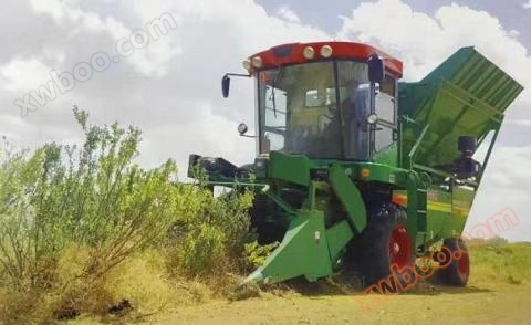 중농기계 4GM-200A 자주식 관목 연합 수확기