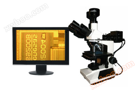 Microscopio metallico digitale Mshot ME31