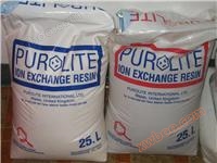 Resin Porulite