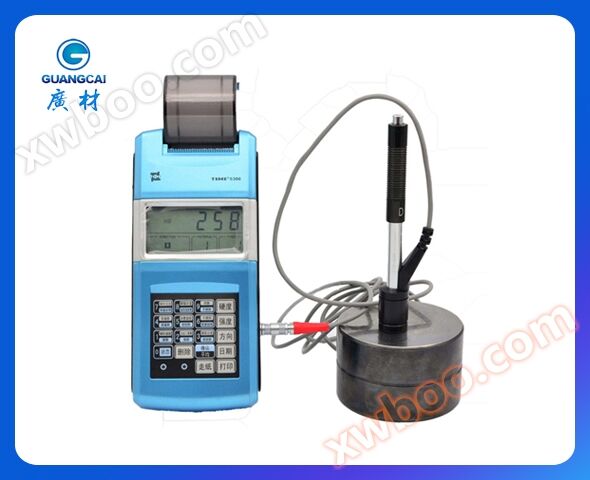 Time5300 Era Leeb Hardness Tester