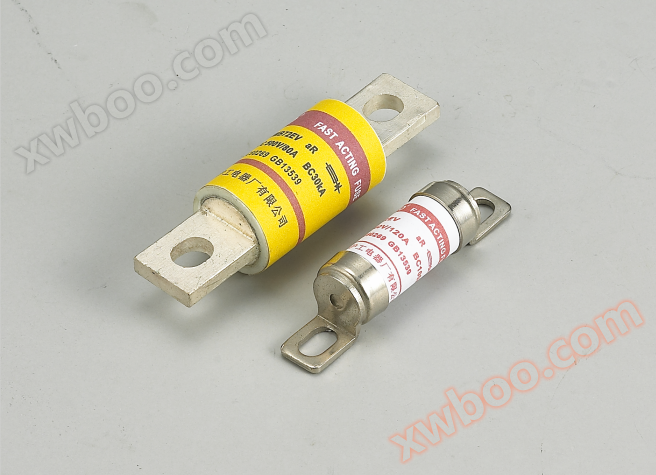 Fuser don kare motar lantarki (EV)