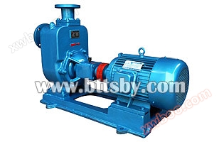 WZW series self-priming sewage pump