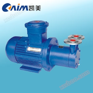 CWB type magnetic driven vortex pump (referred to as magnetic pump)