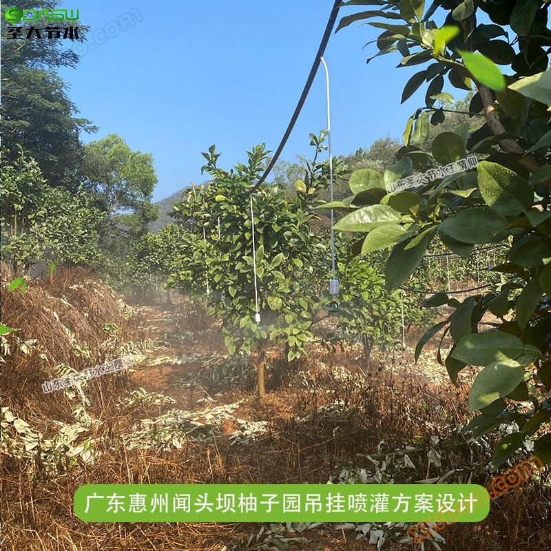 ¿Huizhou wentouba pomelo Garden ¿ cuánto cuesta el presupuesto integrado de agua y fertilizantes de riego por aspersión para controlar automáticamente la máquina de fertilización de guangdong?